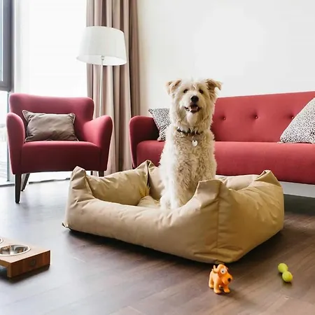 מלון Chester היידלברג