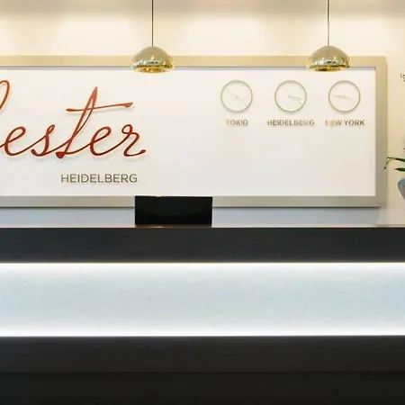 Отель Chester