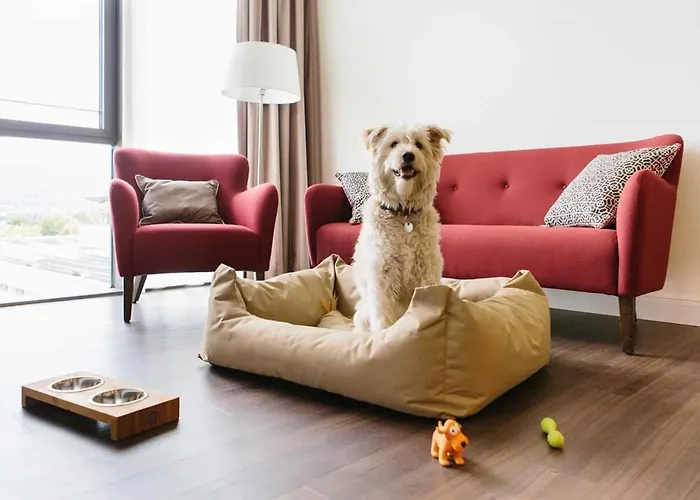 Otel Chester Heidelberg